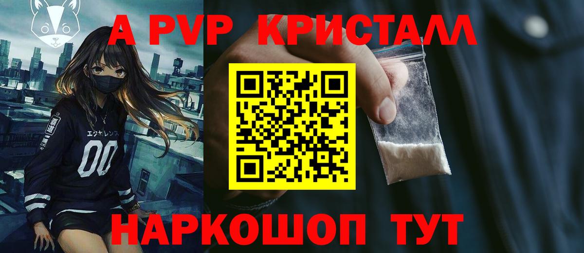 A PVP СК Медногорск