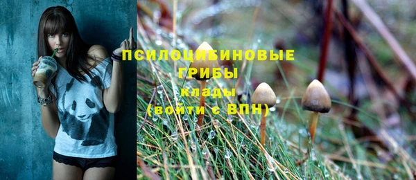 спиды Верея