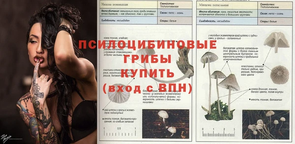 спиды Верея