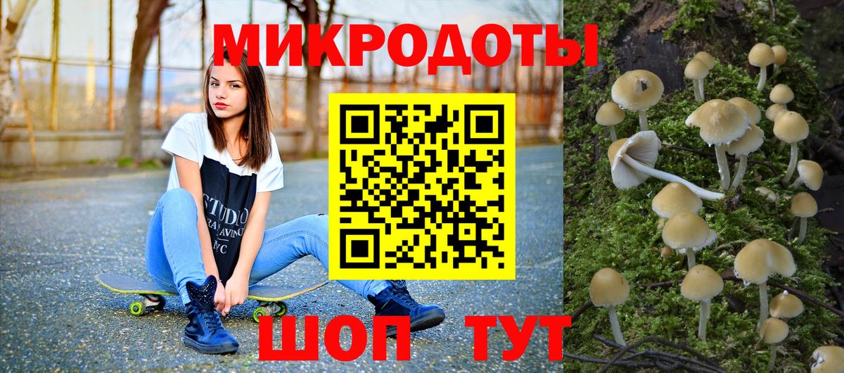 Галлюциногенные грибы Psilocybine cubensis Медногорск