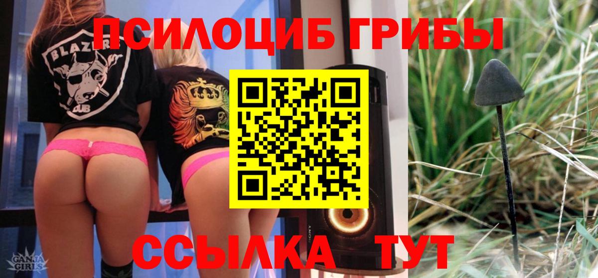 купить наркотик  Галлюциногенные грибы мицелий  Галлюциногенные грибы Cubensis  Вход с VPN  Медногорск 